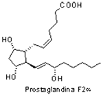 Prostaglandina