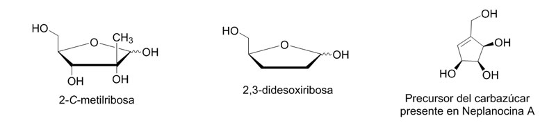 Figura 1: Azúcares modificados, objetivos sintéticos de nuestro grupo para la posterior preparación de análogos de nucleósidos con potencial actividad antiviral